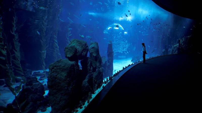 Aquarium  Poema del Mar (Meeresgedicht) 